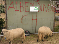 alberiCH